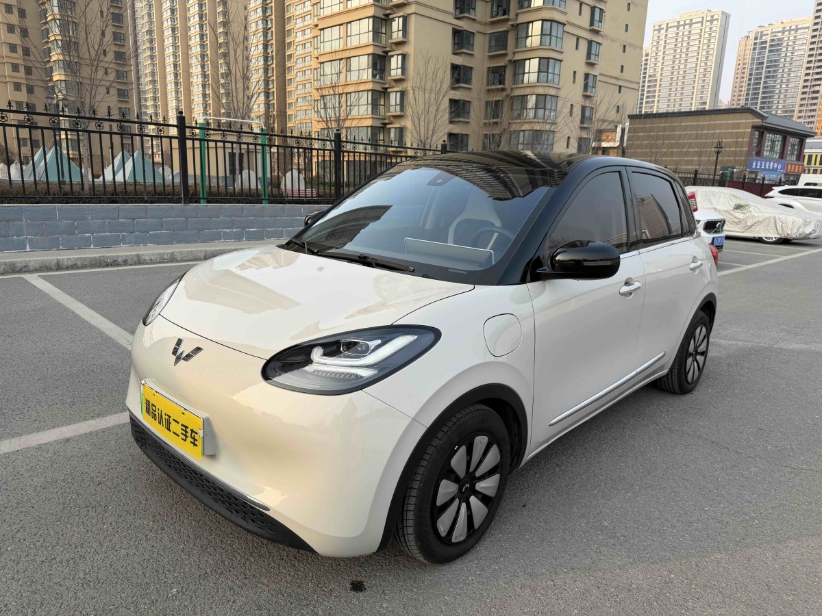 Wuling Binguo 2023 汽车图片 