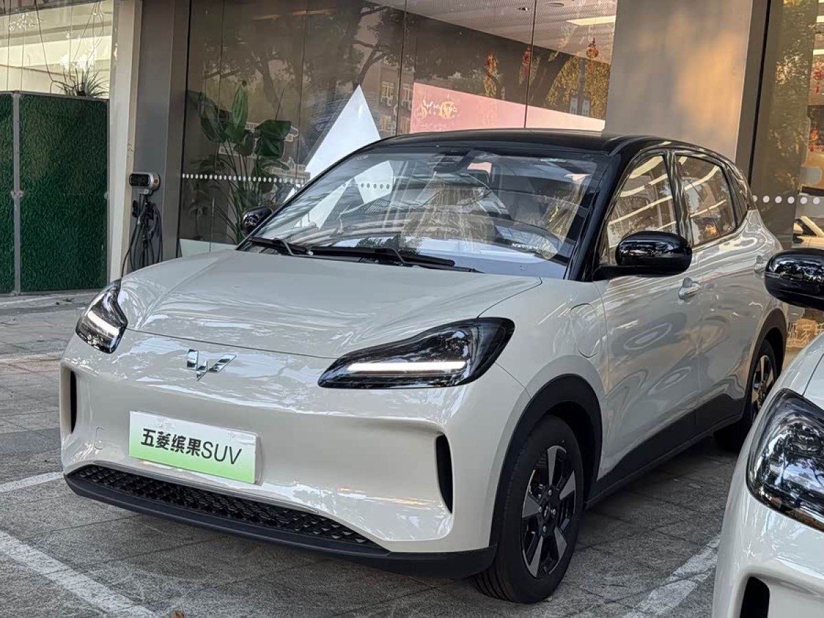 Wuling Binguo PLUS 2025 汽车图片 