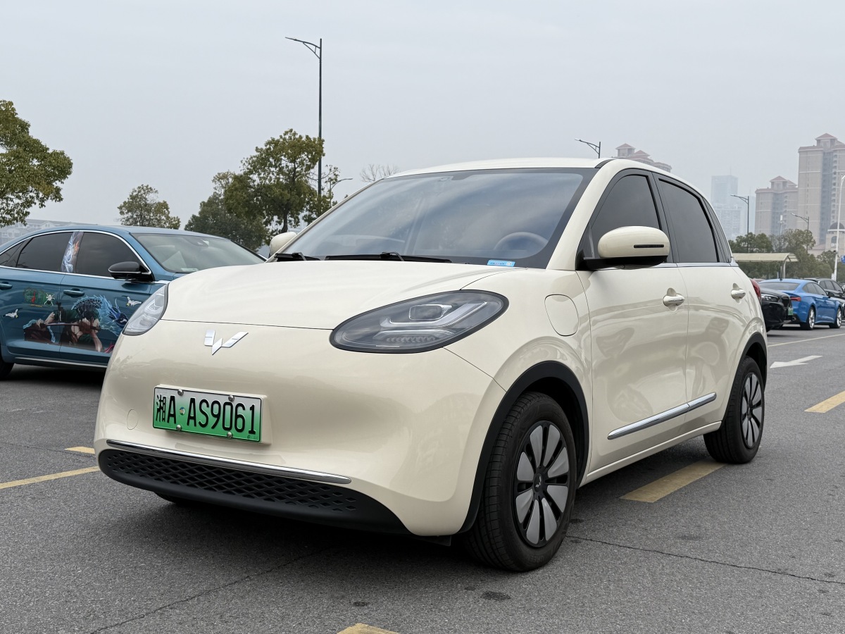 Wuling Binguo 2025 汽车图片 