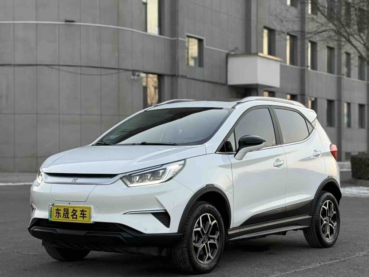 BYD Yuan Pro 2021 car image 