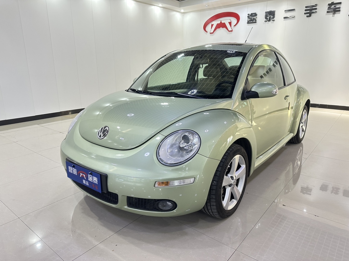 Volkswagen Beetle 2008 Volkswagen Beetle 2008 car image
