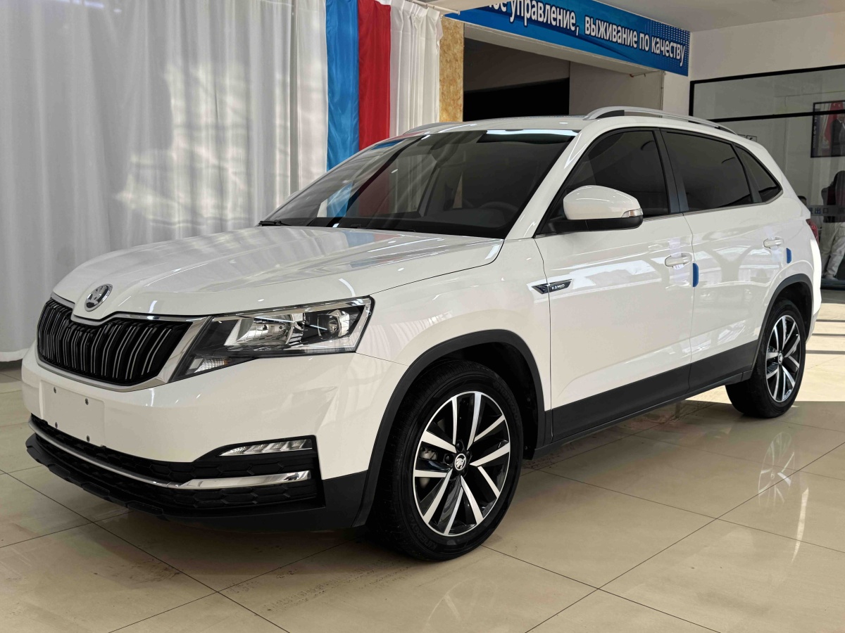 Skoda Kamiq 2021 car image 