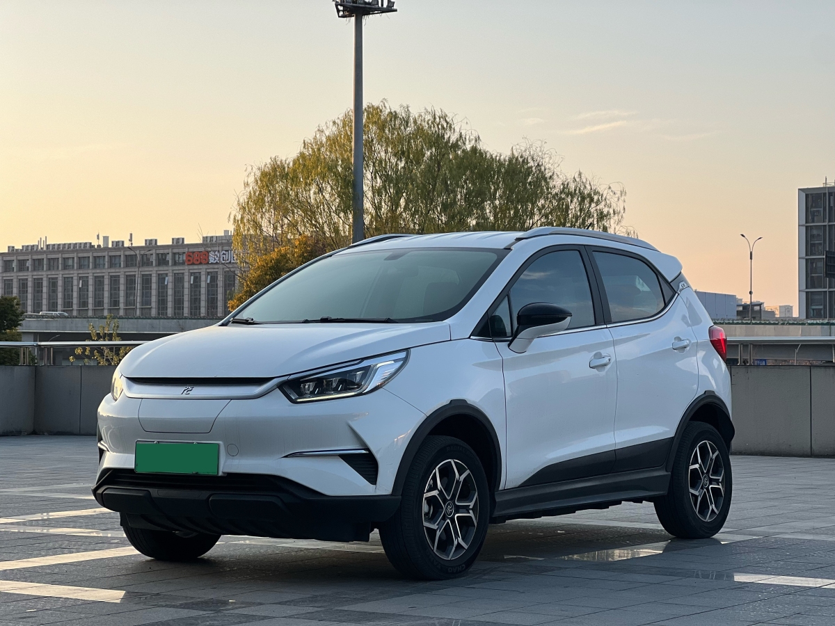 BYD Yuan Pro 2021 immagine di auto 