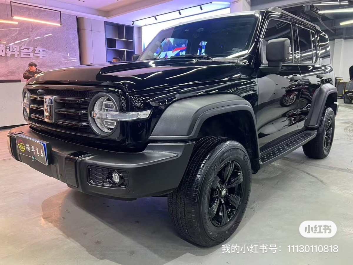 Tank 300 2022 Tank 300 2022 car image