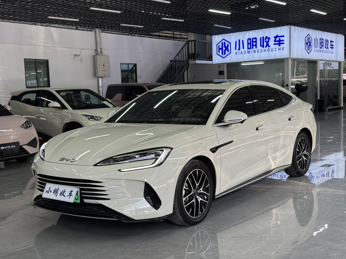 BYD Seal 07 DM-i 2025 imagem de carro 