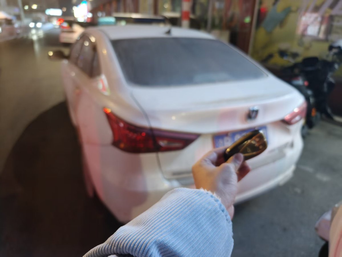 Changan Raeton CC 2025 汽车图片 