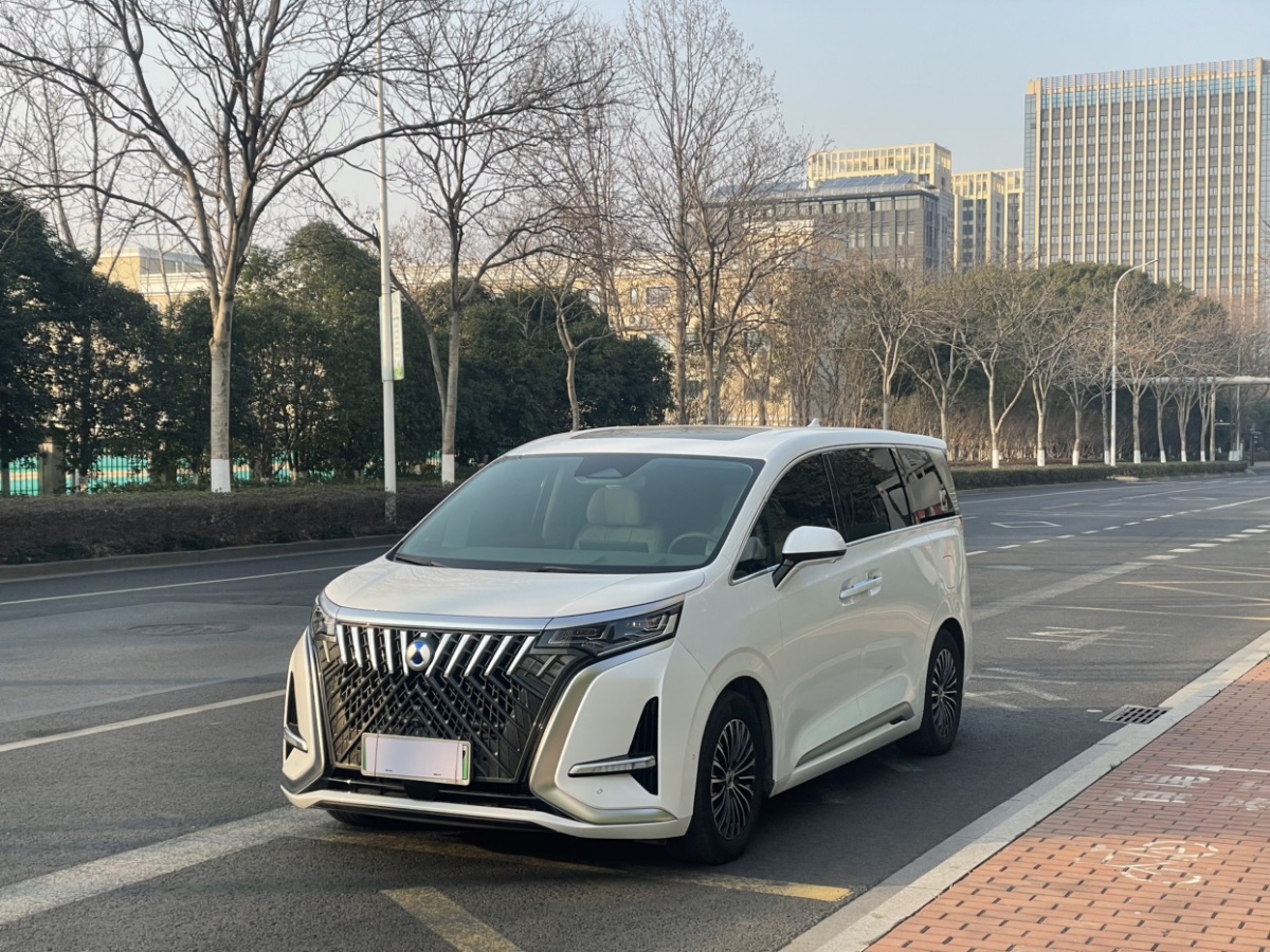 腾势 腾势D9 2023 汽车图片 