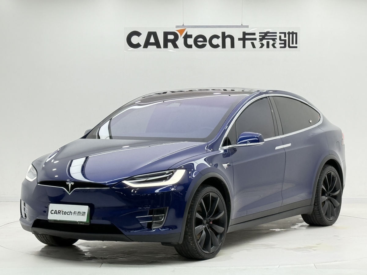 Tesla Model X 2020 汽车图片 