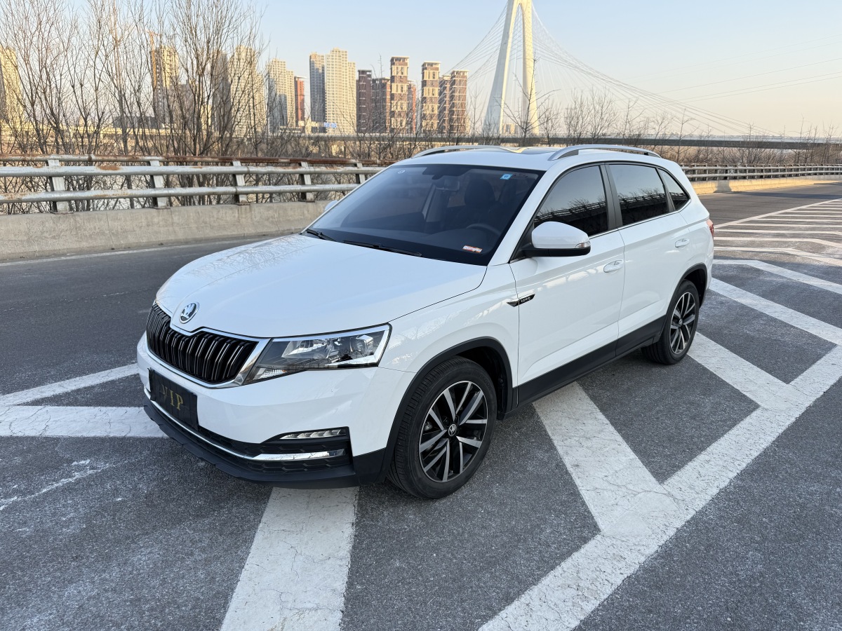 Skoda Kamiq 2020 car image 