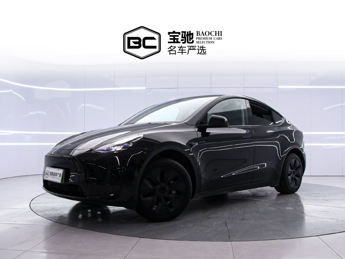 Tesla Model Y 2023 Tesla Model Y 2023 car image