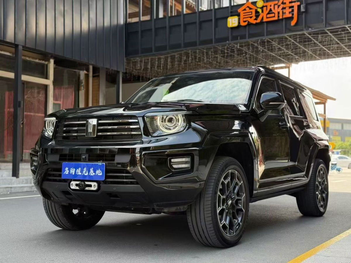 Tank 700 New Energy 2024 Tank 700 New Energy 2024 immagine di auto