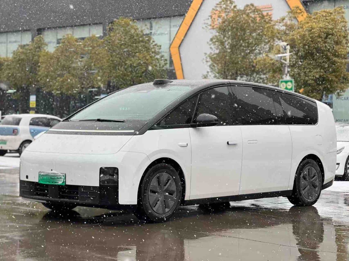 Li Mega 2024 汽车图片 