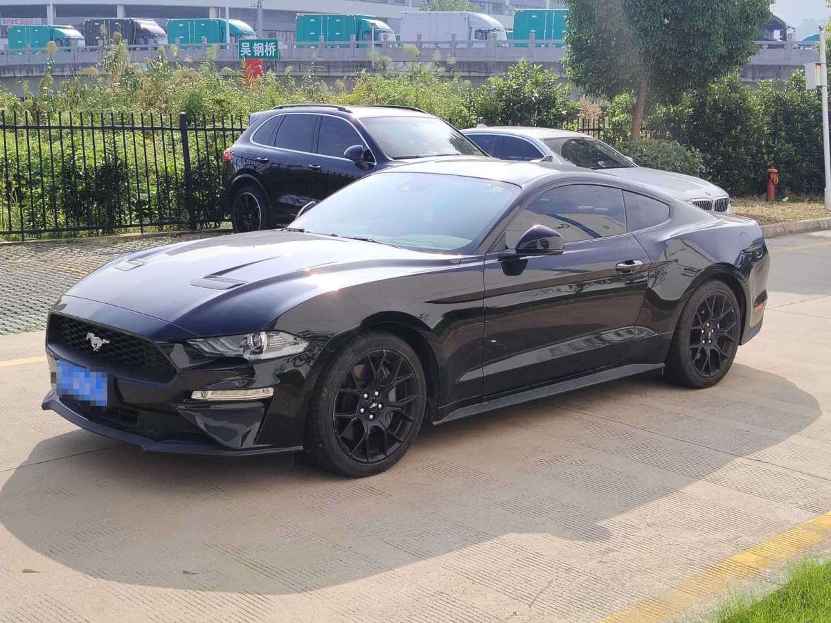 Ford 2023 Ford 2023 car image