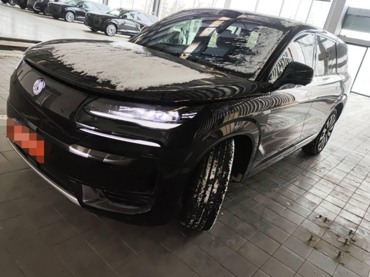 Denza N9 2025 car image 