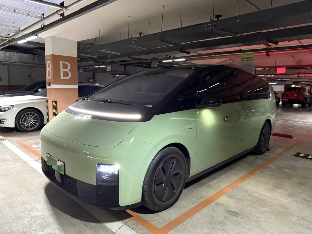 Li Mega 2025 汽车图片 