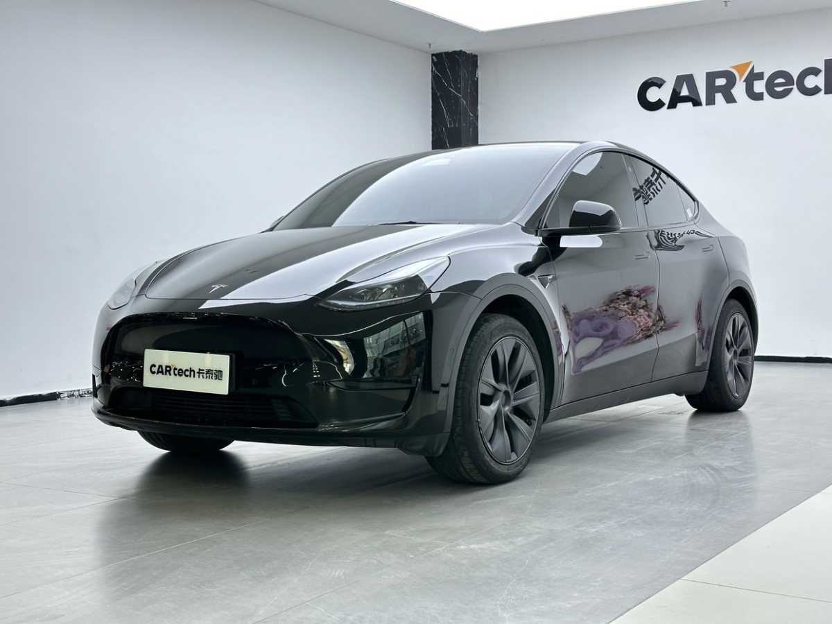 Tesla Model Y 2023 car image 