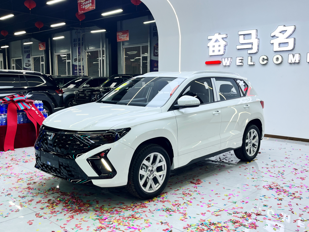 捷达 捷达VS5 2025 汽车图片 