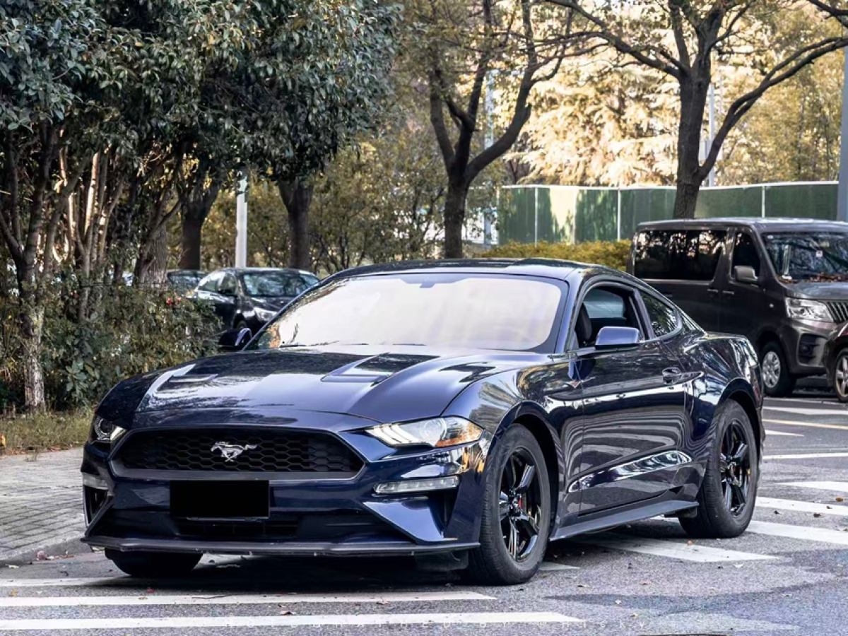 Ford 2019 Ford 2019 car image