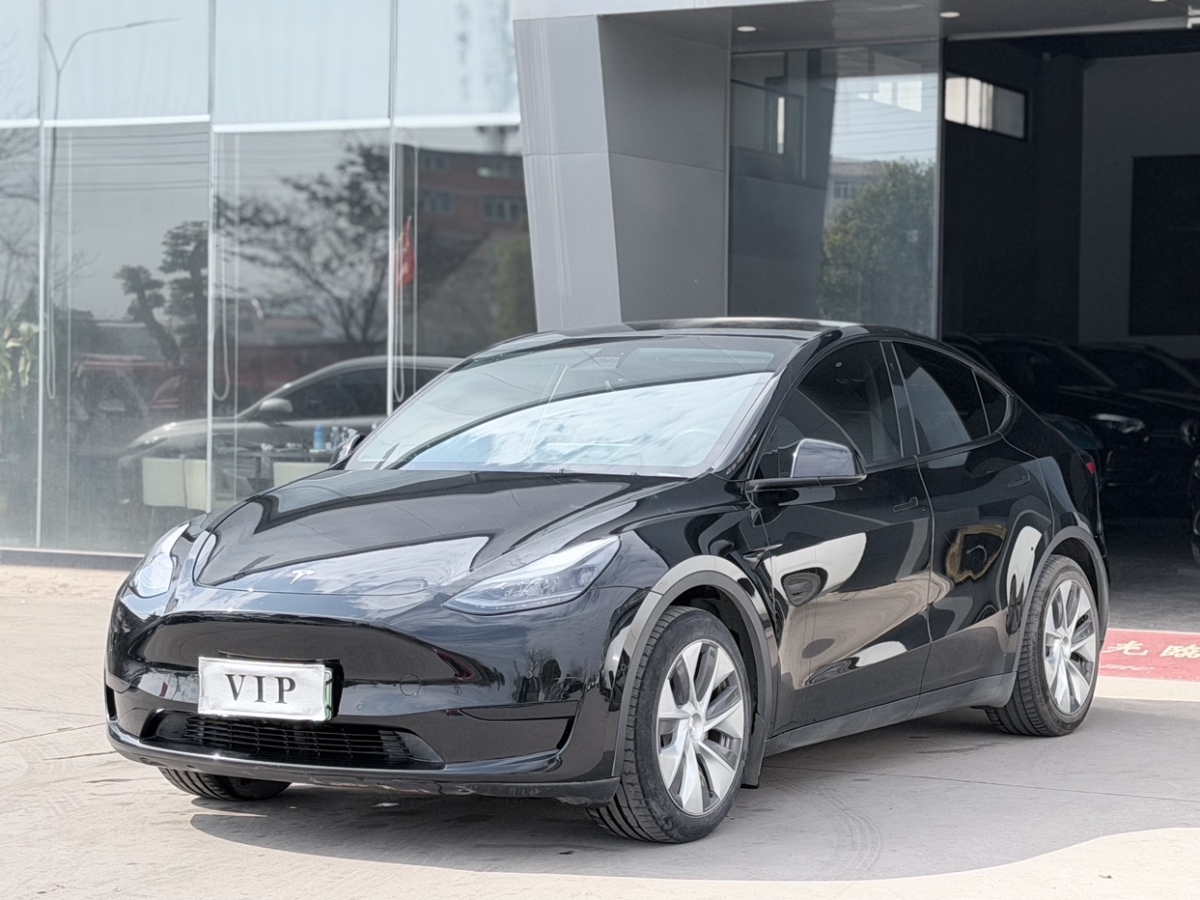 Tesla Model Y 2023 car image 