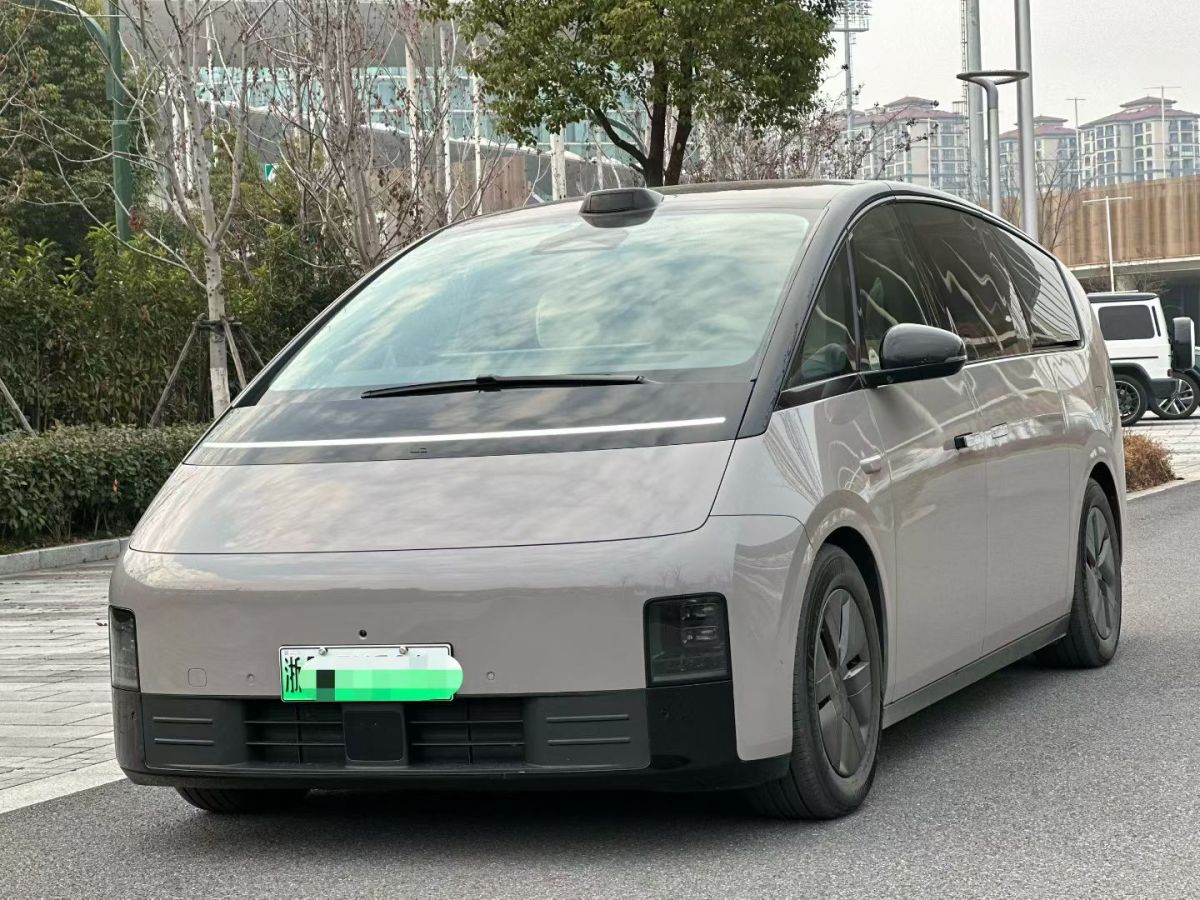 Li Mega 2024 汽车图片 