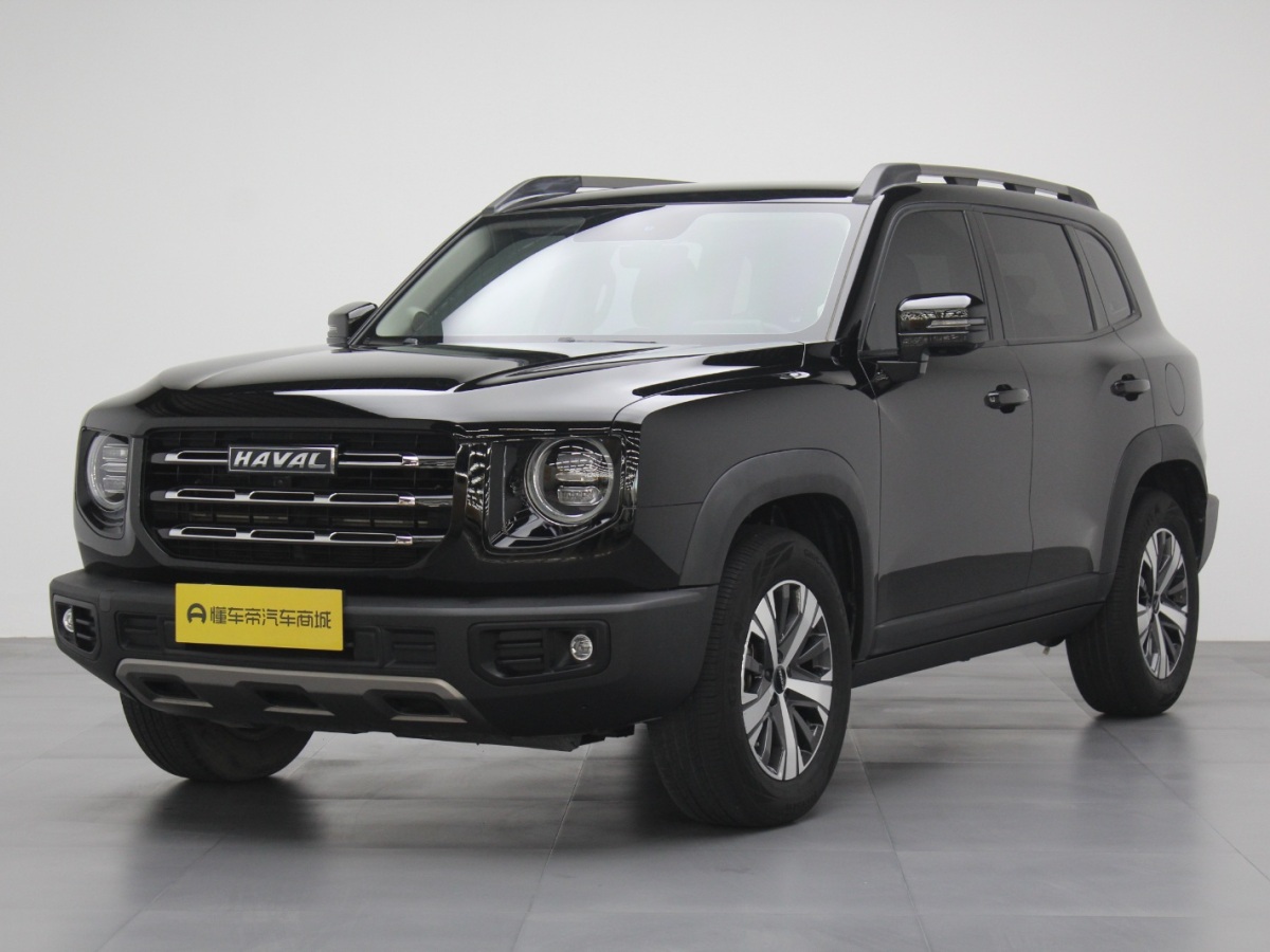 Haval X Dog / Dargo 2022 car image 