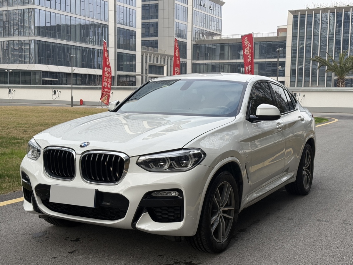BMW X4 2019 immagine di auto 