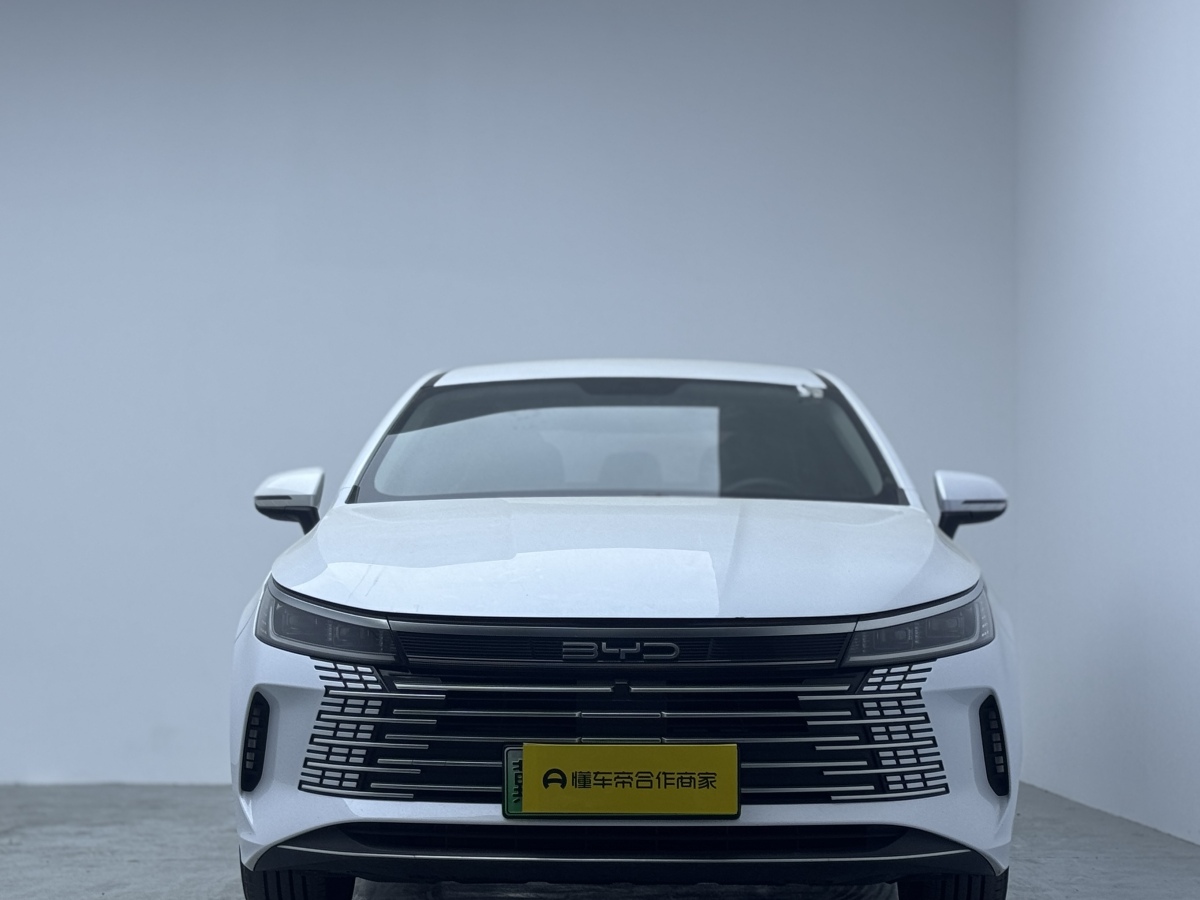 BYD Destroyer 05 2024 car image 