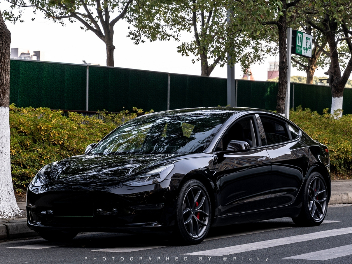Tesla Model 3 2022 Tesla Model 3 2022 car image