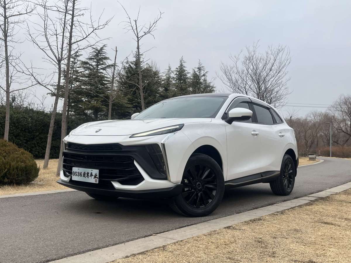 Forthing T5 EVO 2023 car image 