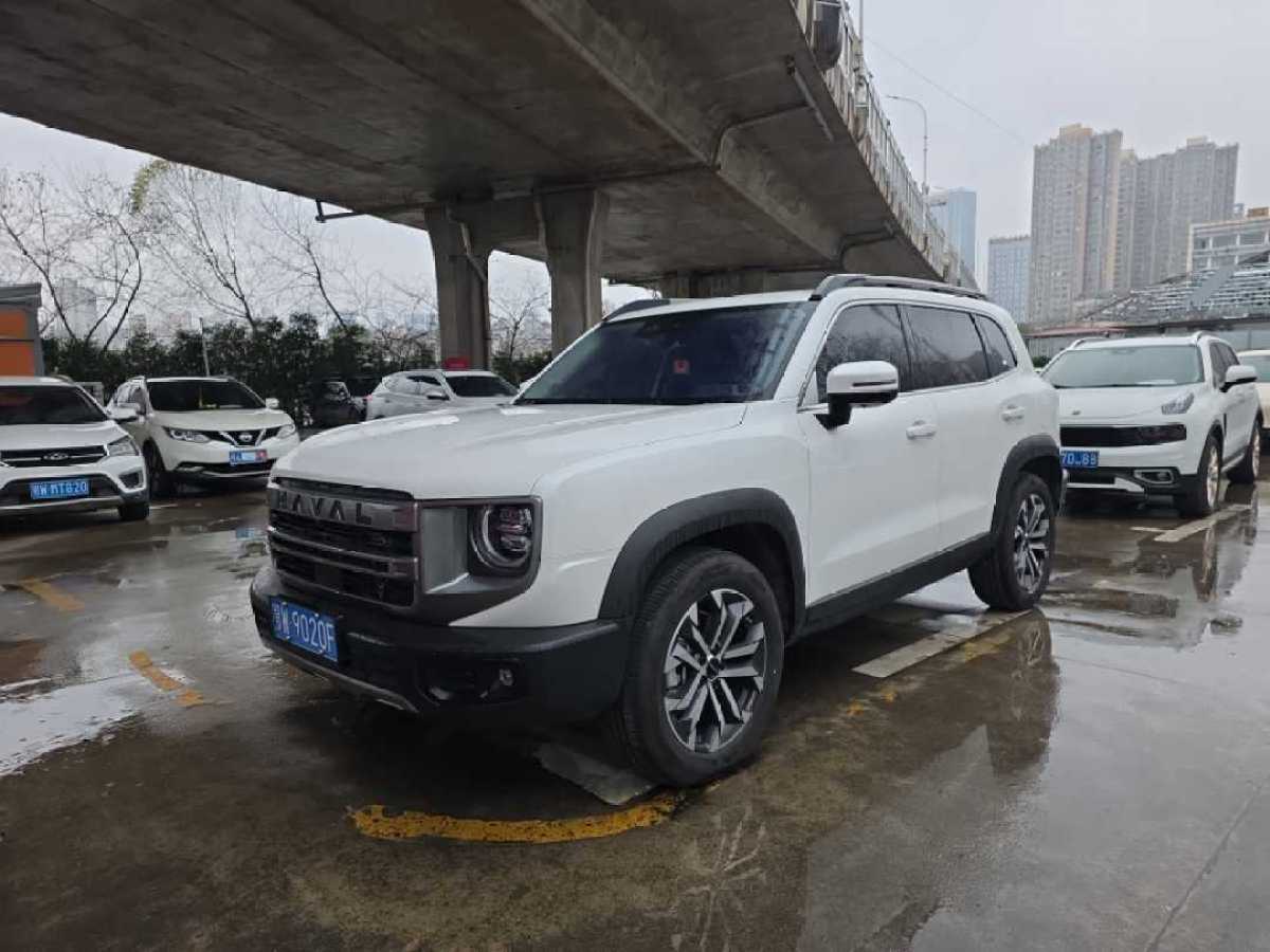Haval X Dog / Dargo 2025 car image 