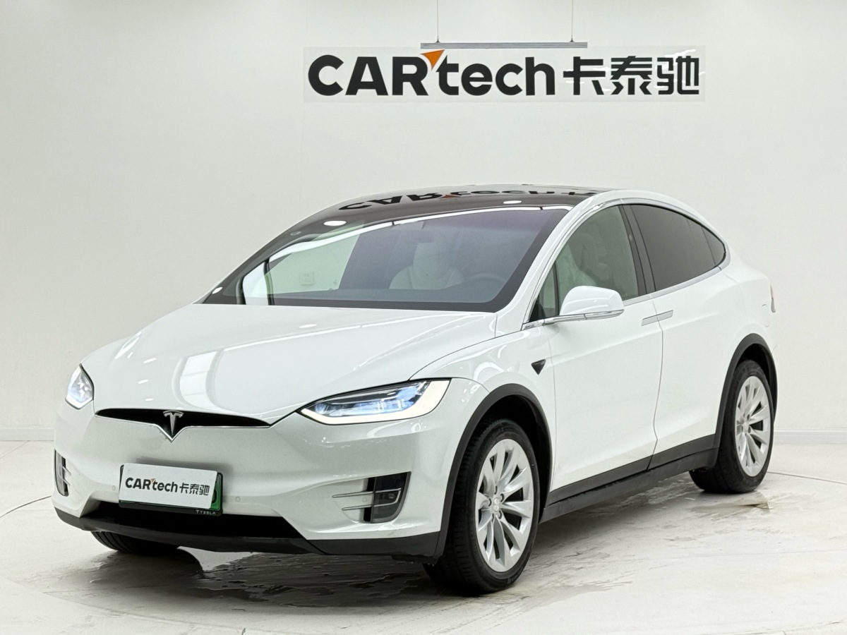 Tesla Model X 2020 汽车图片 