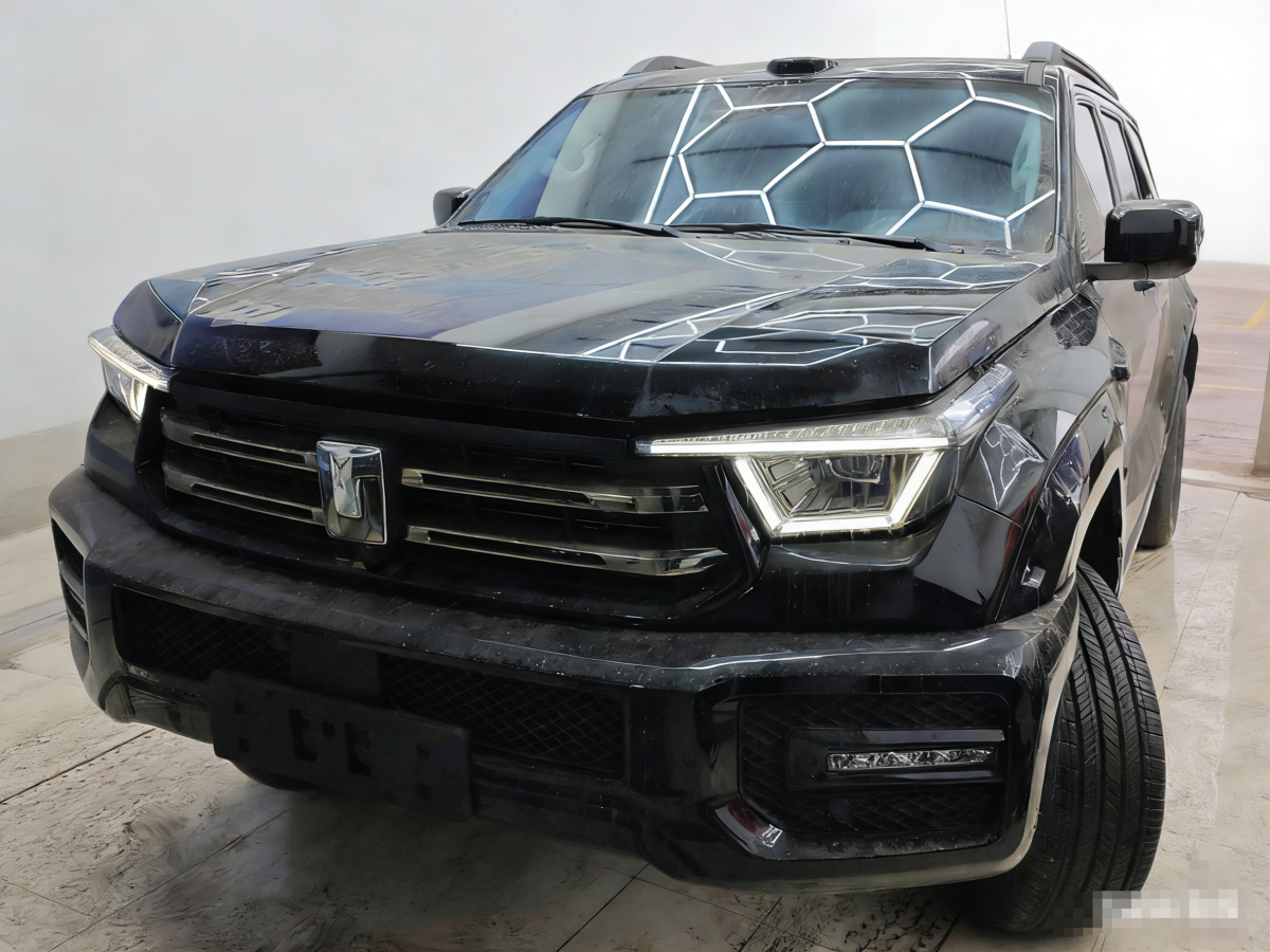 Tank 400 New Energy 2025 Tank 400 New Energy 2025 汽车图片