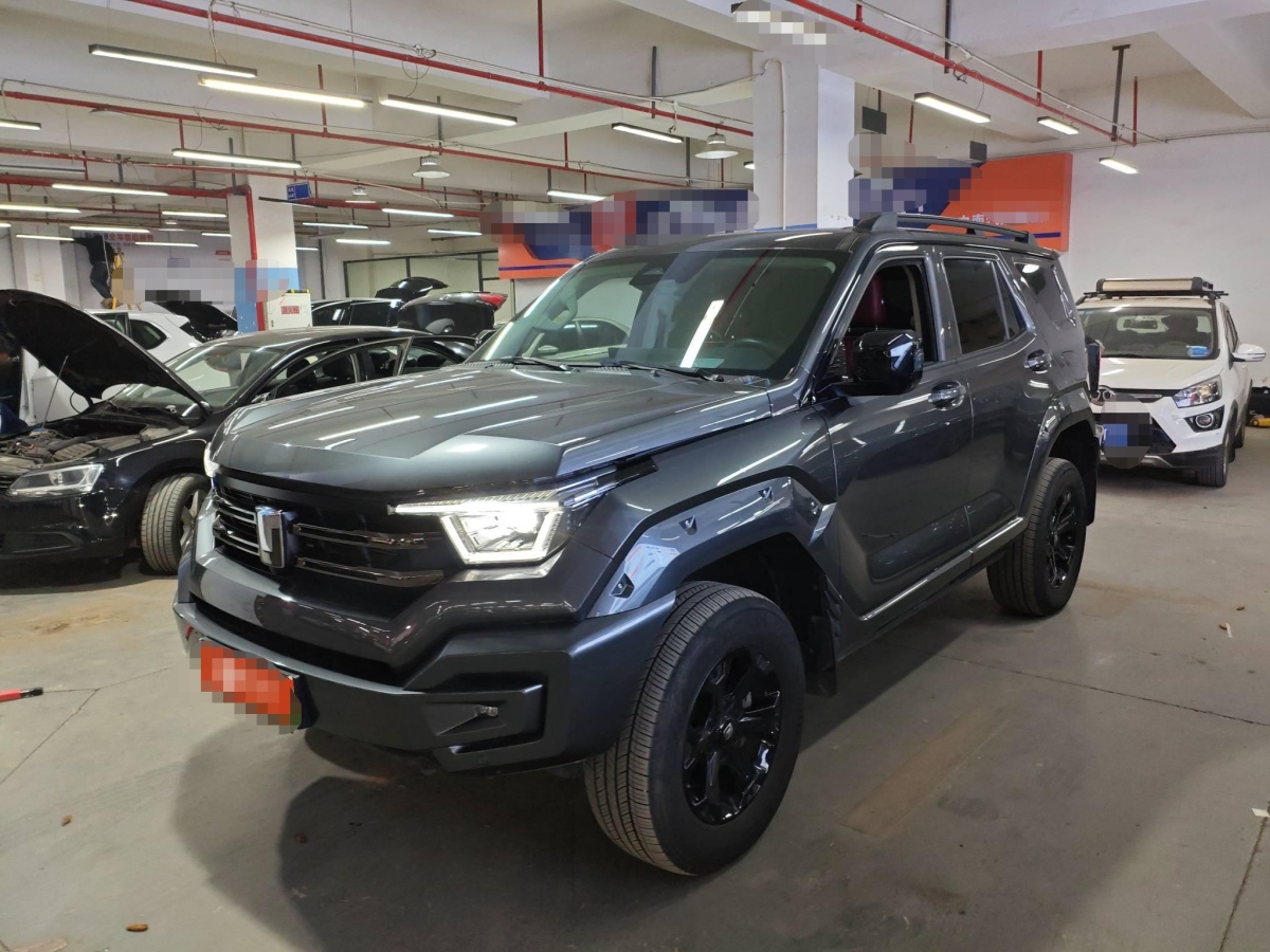 Tank 400 New Energy 2024 Tank 400 New Energy 2024 汽车图片