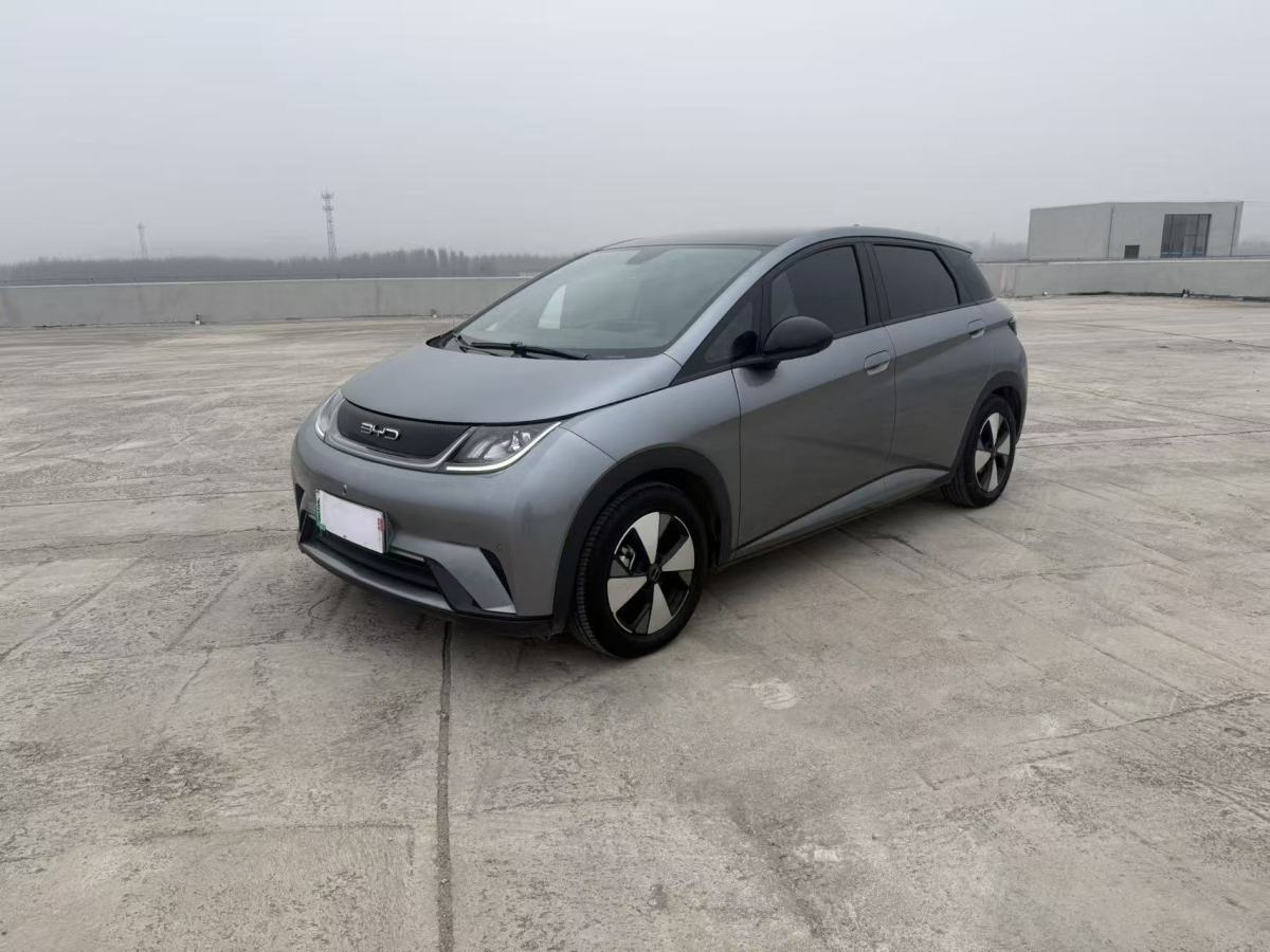 BYD Dolphin 2024 BYD Dolphin 2024 immagine di auto