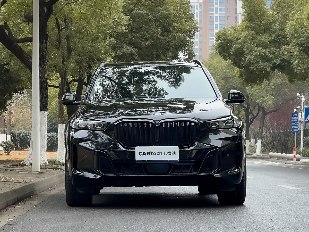 BMW X5 2025 car image 
