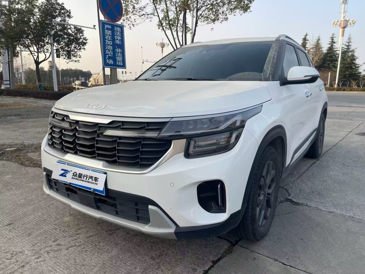 Kia Seltos 2024 car image 