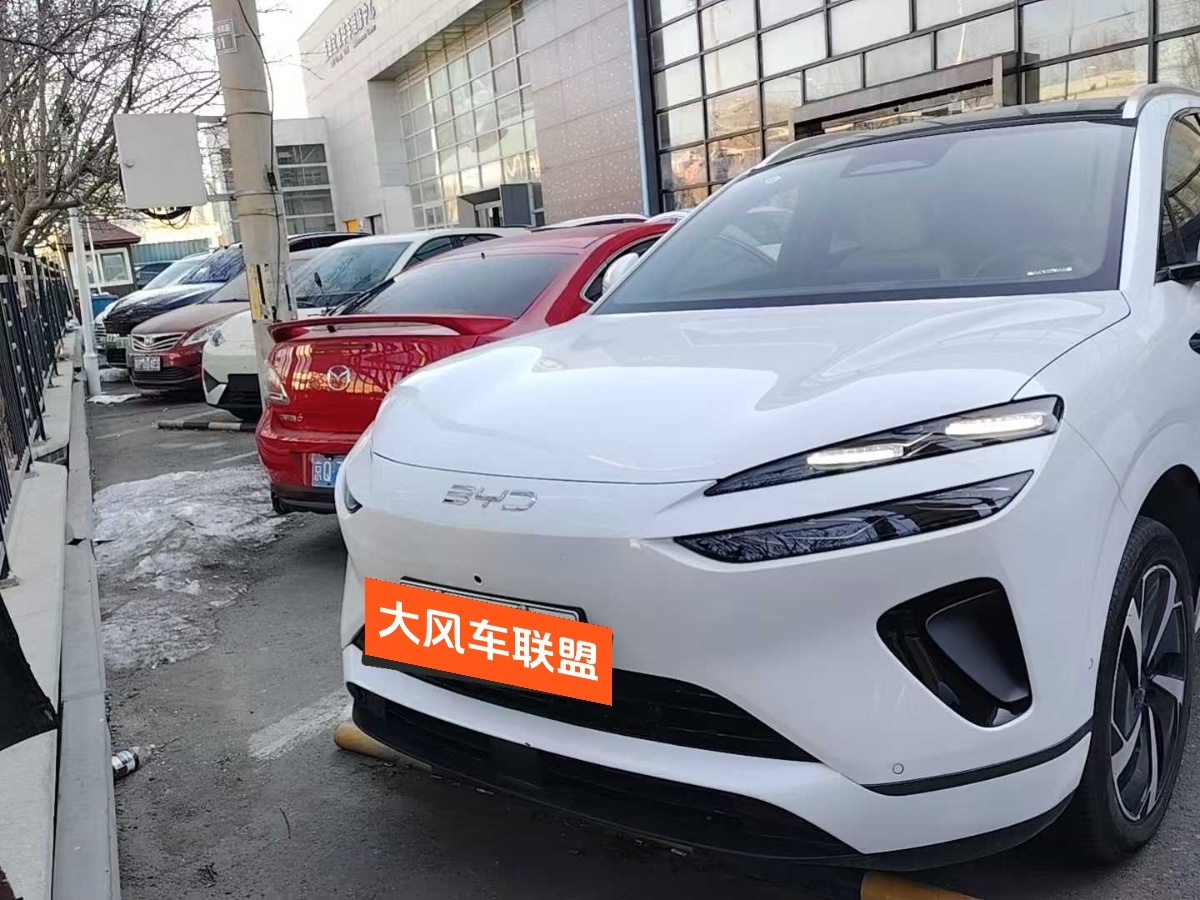 BYD Sea Lion 06 New Energy 2025 car image 