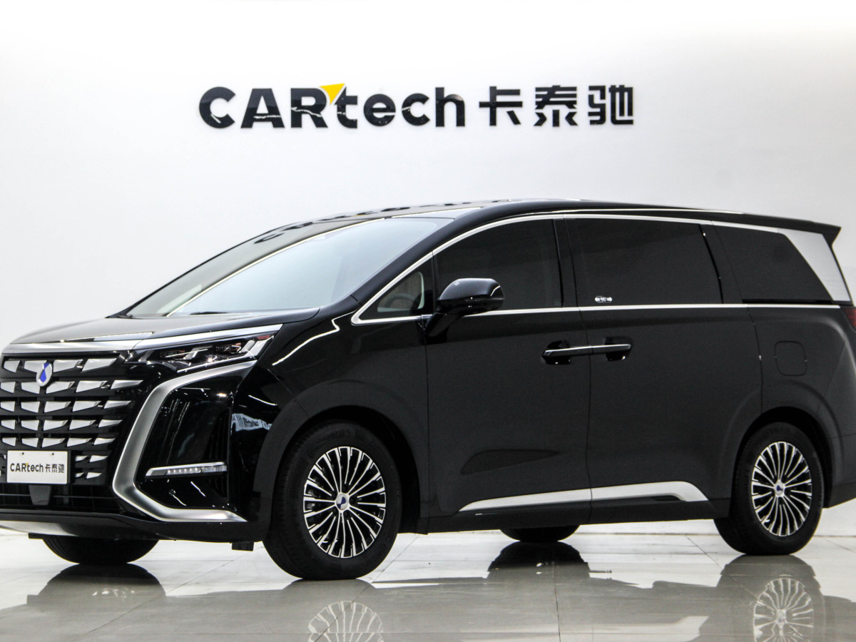 Denza D9 2025 car image 