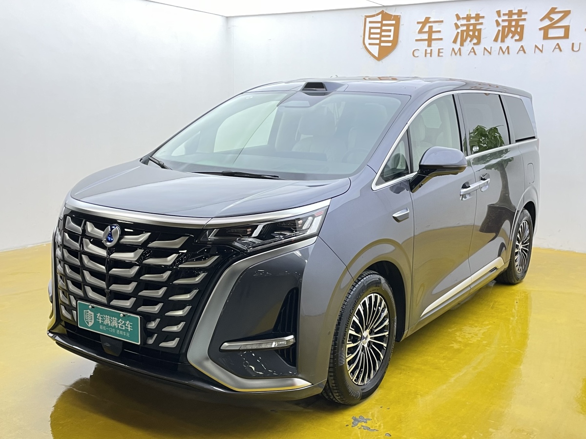 Denza D9 2024 car image 