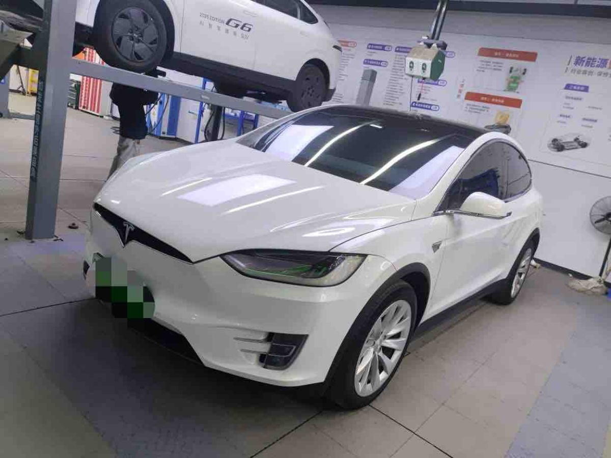 Tesla Model X 2021 汽车图片 