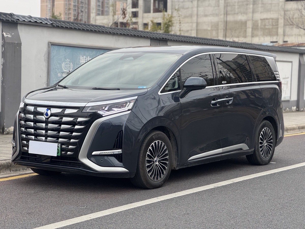 Denza D9 2023 car image 