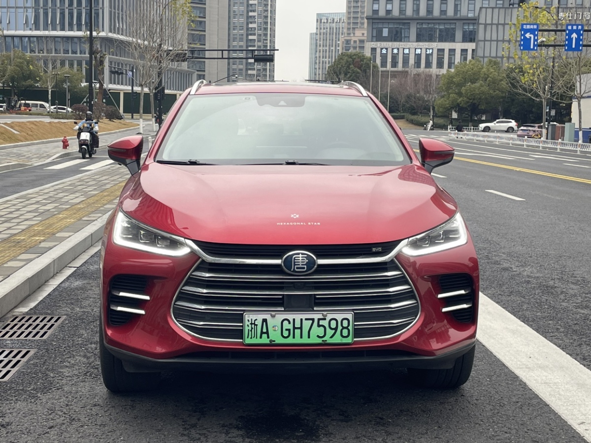 BYD Tang New Energy 2018 car image 
