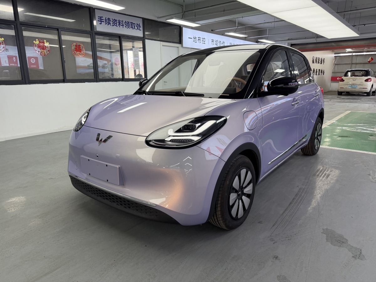 Wuling Binguo 2025 汽车图片 