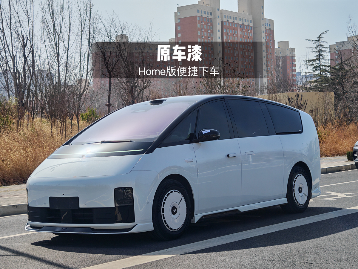 Li Mega 2025 汽车图片 