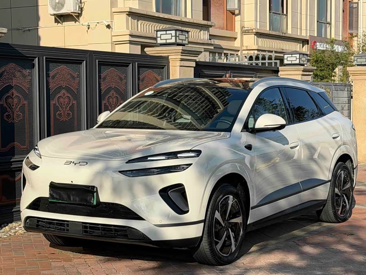 BYD Sea Lion 06 New Energy 2025 car image 