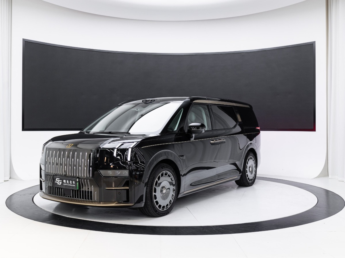 Zeekr 009 2025 汽车图片 