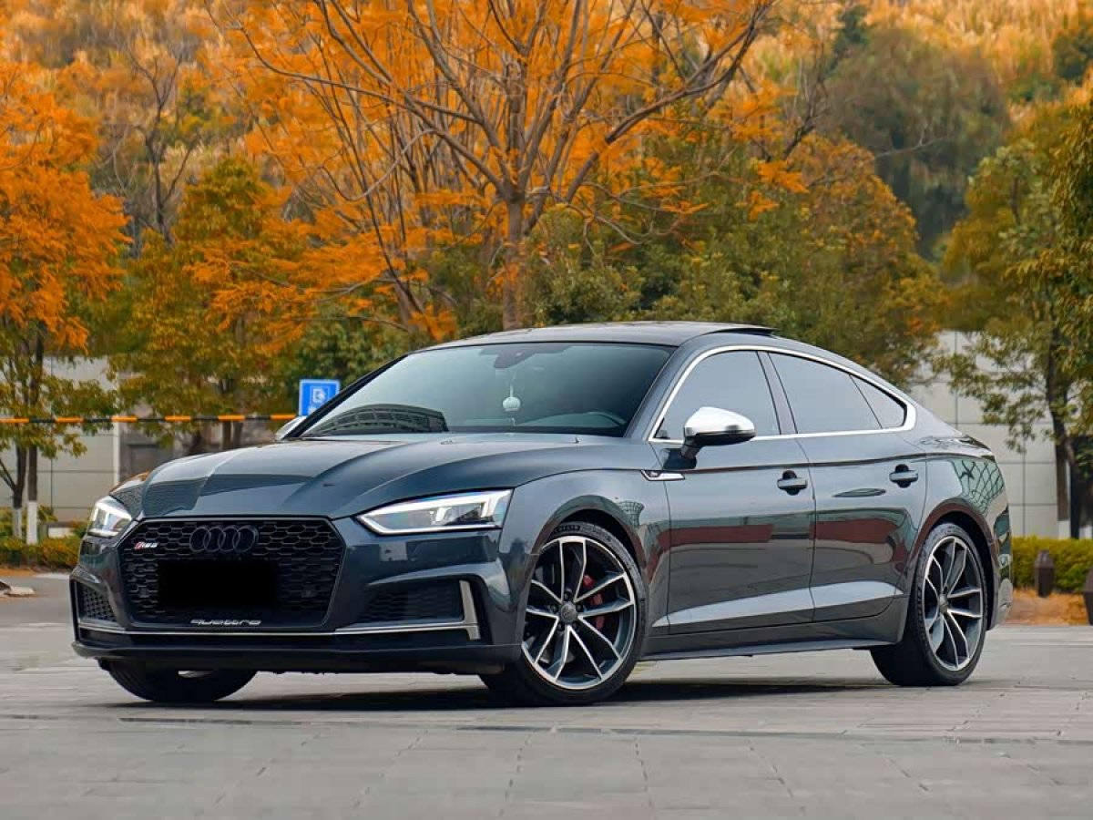 Audi S5 2019 car image 