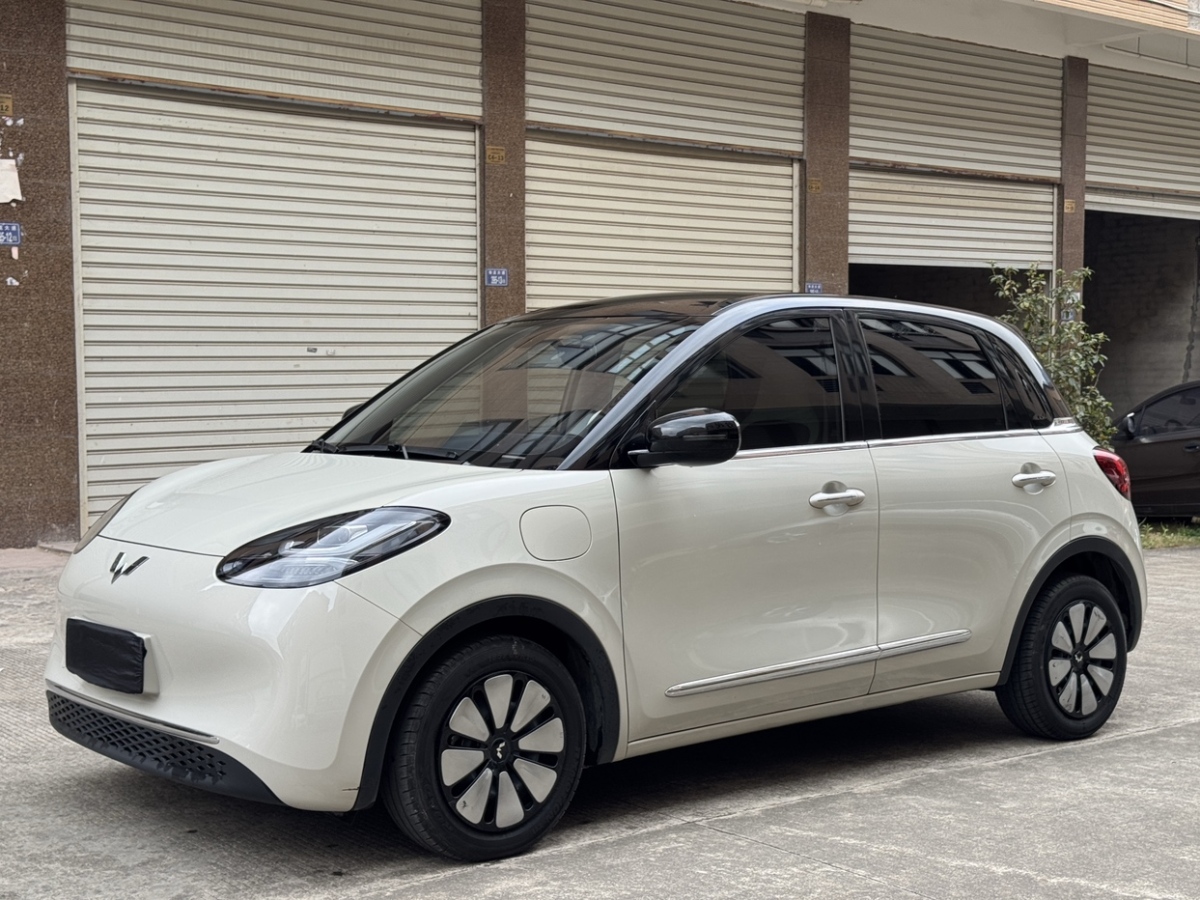 Wuling Binguo 2024 汽车图片 