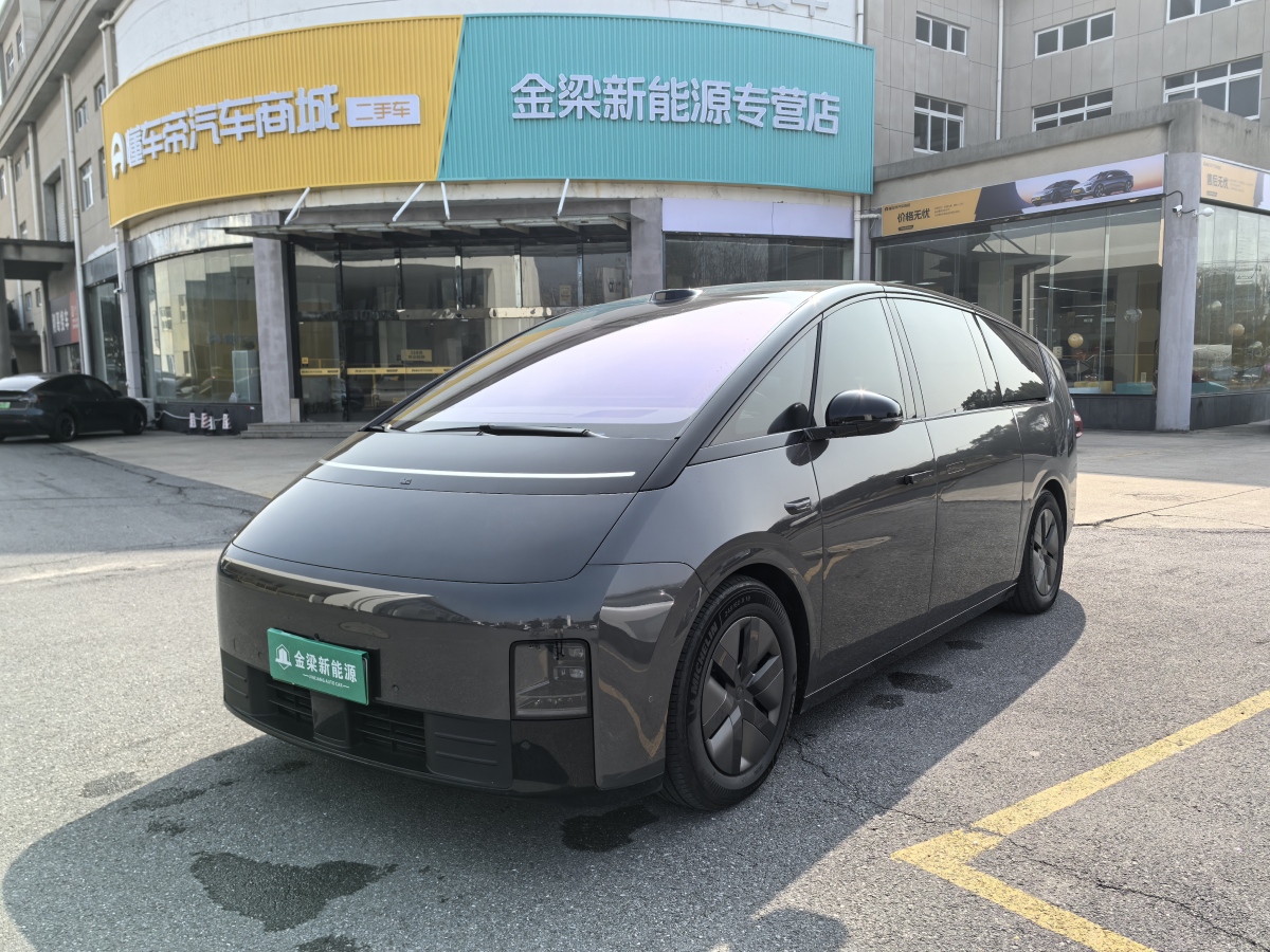 Li Mega 2025 汽车图片 