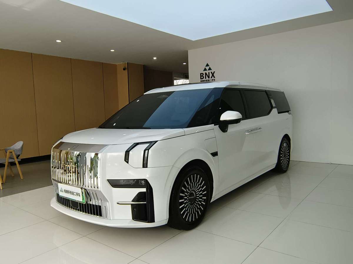 Zeekr 009 2024 汽车图片 